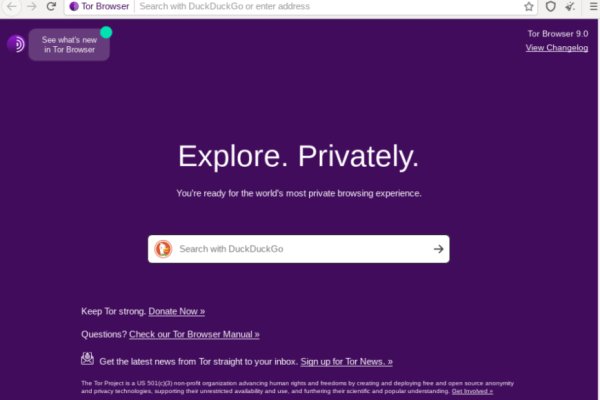 Как зайти на кракен тор