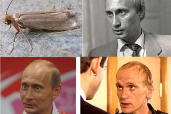 Кракен даркнет текст