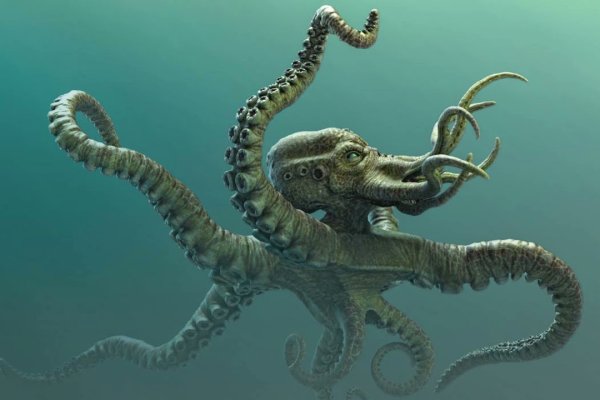Kraken 2krn cc