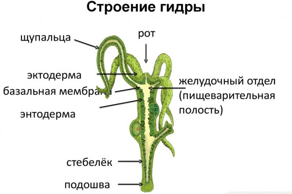 Kraken ссылка для тору