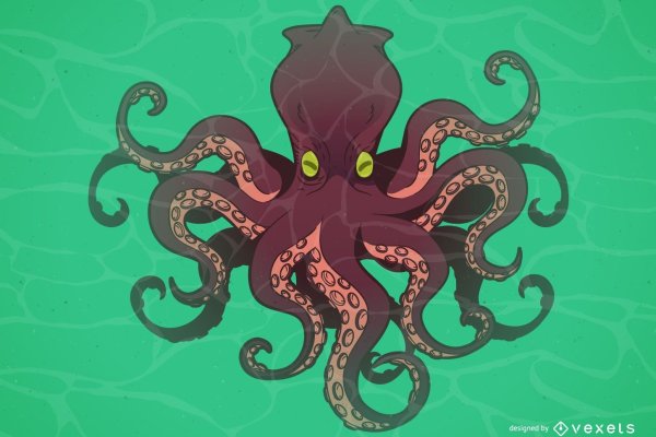 Kraken 25 at